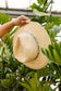 Panama Jacklyn Hat